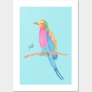 Lilac-breasted roller Posters and Art